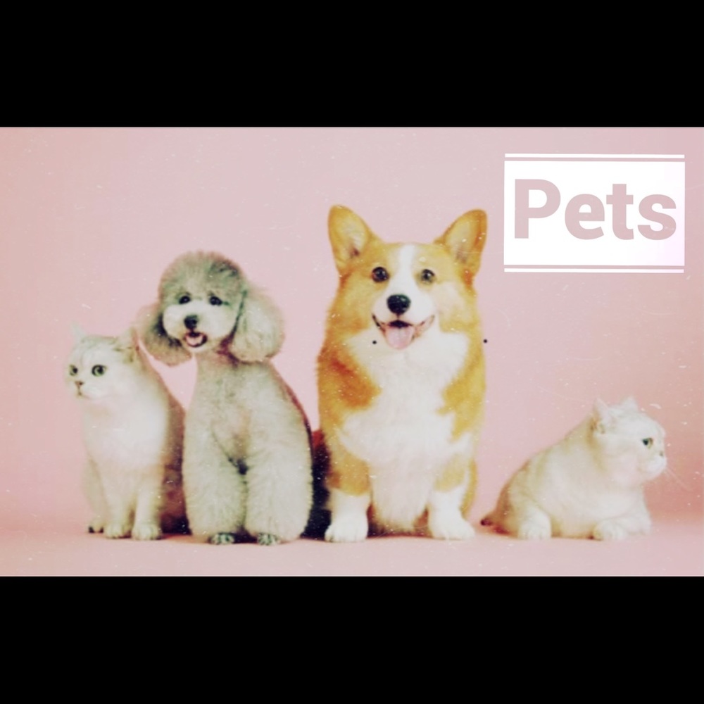 PET SUPPLIES